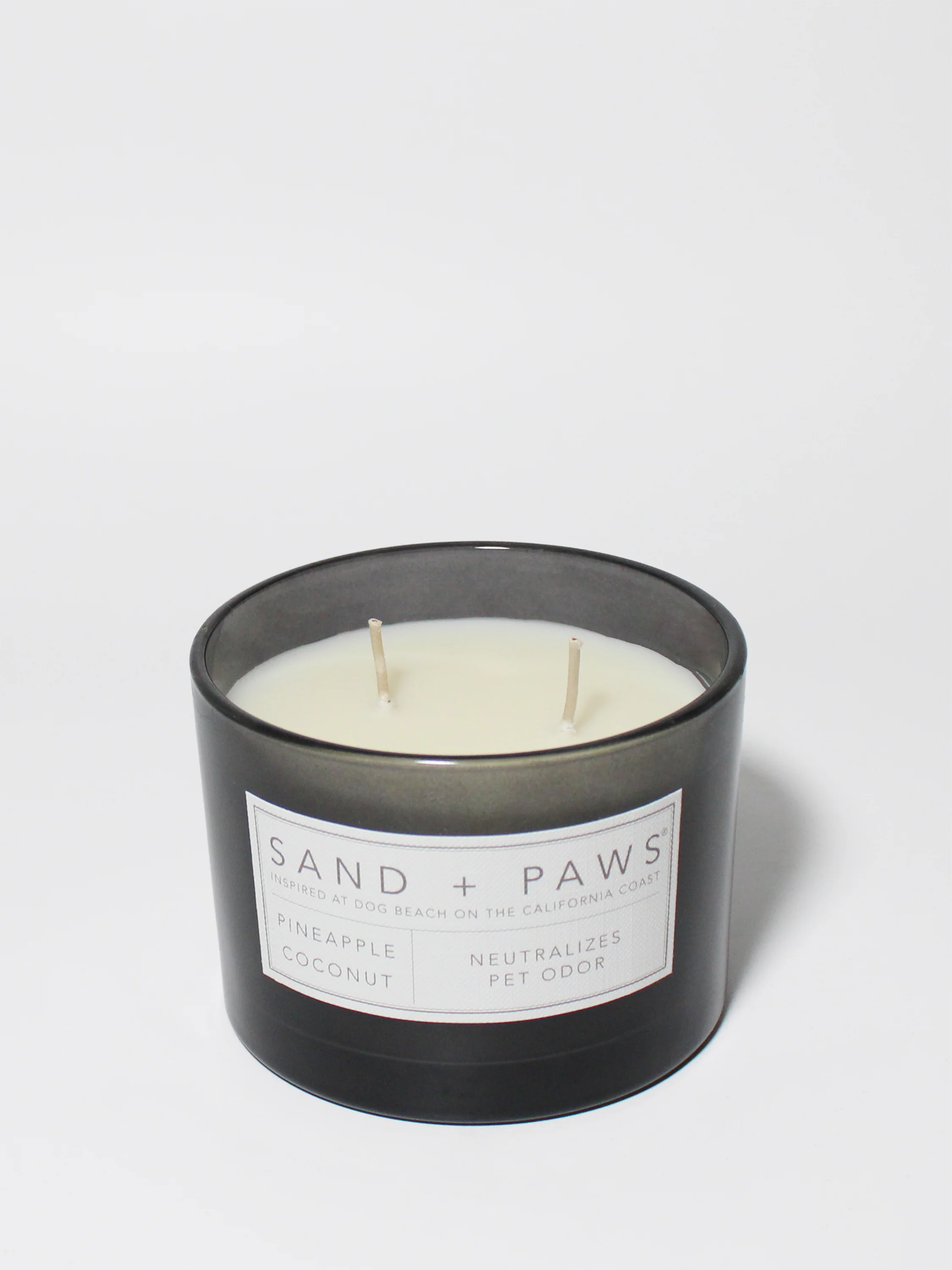 Sand + Paws Pineapple Coconut 12 oz scented candle - Image 3