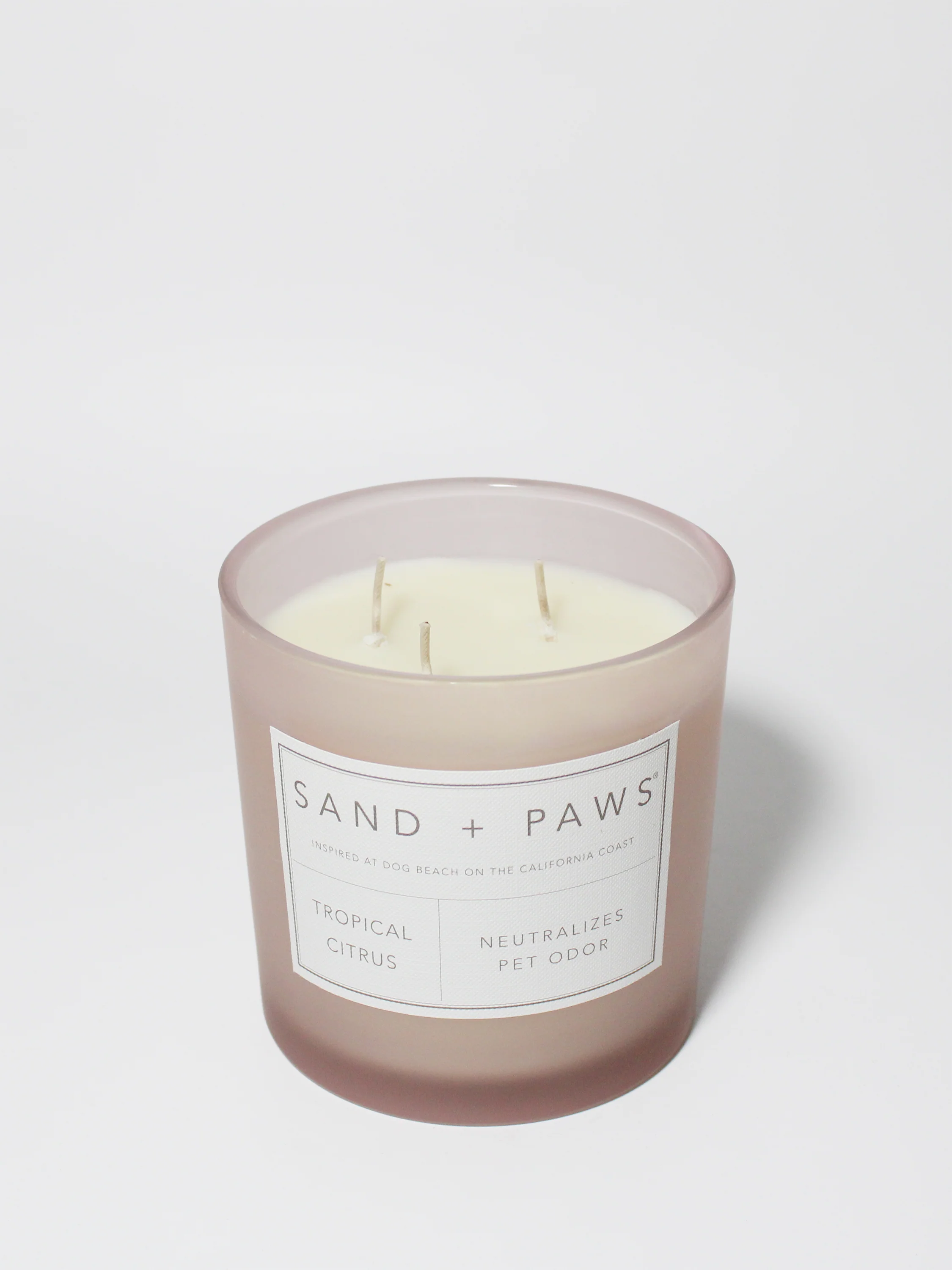 Sand + Paws Tropical Citrus 21 oz scented candle - Image 3